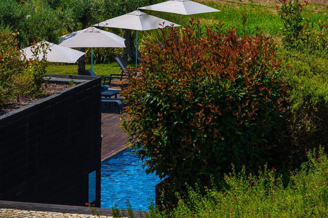 Herdade Da Cortesia Hotel Avis Exteriér fotografie